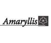 Amaryllis